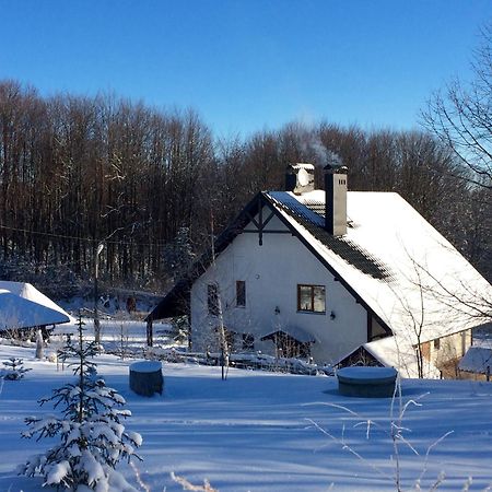 Dolyna Mykolaya Villa Myhove Dış mekan fotoğraf