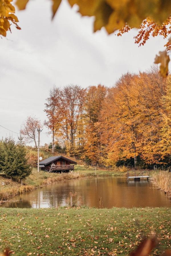 Dolyna Mykolaya Villa Myhove Dış mekan fotoğraf